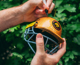 Birmingham Phoenix Mini Replica Helmet